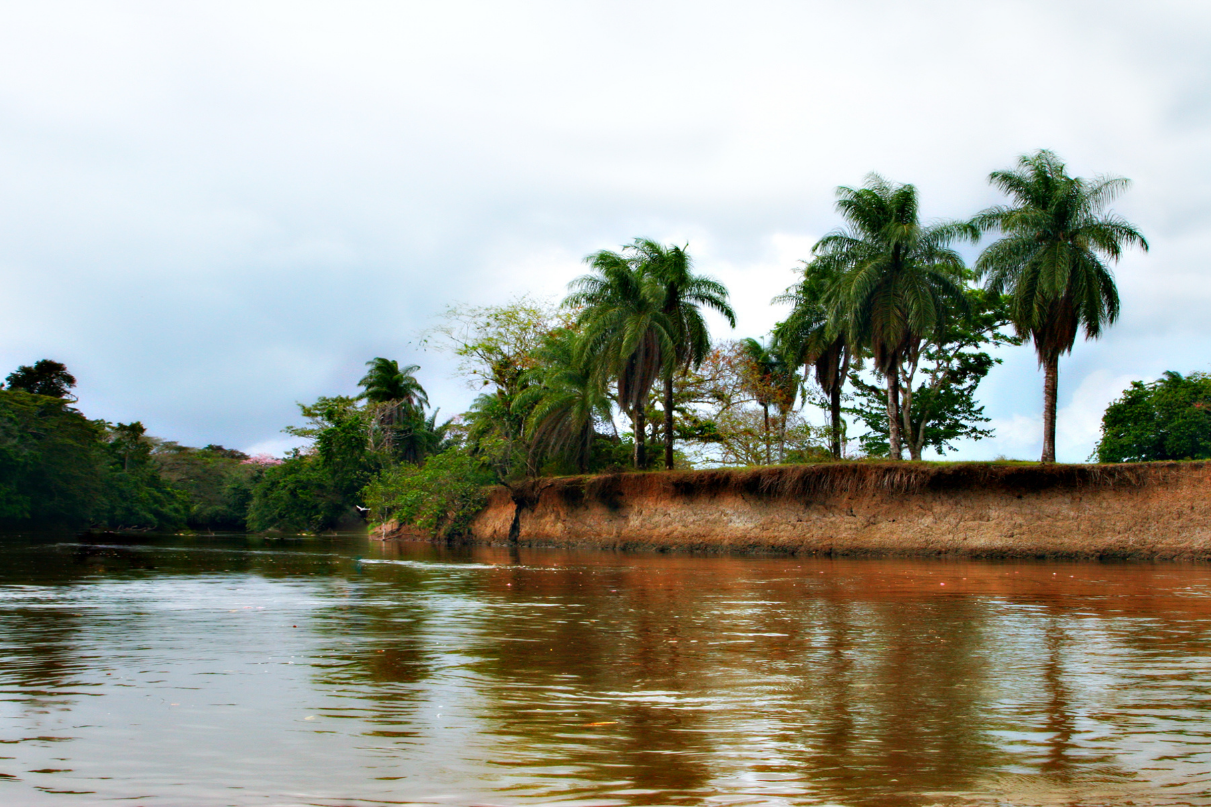 caño negro.webp